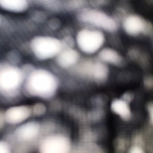 Meet your Posher, Sammy